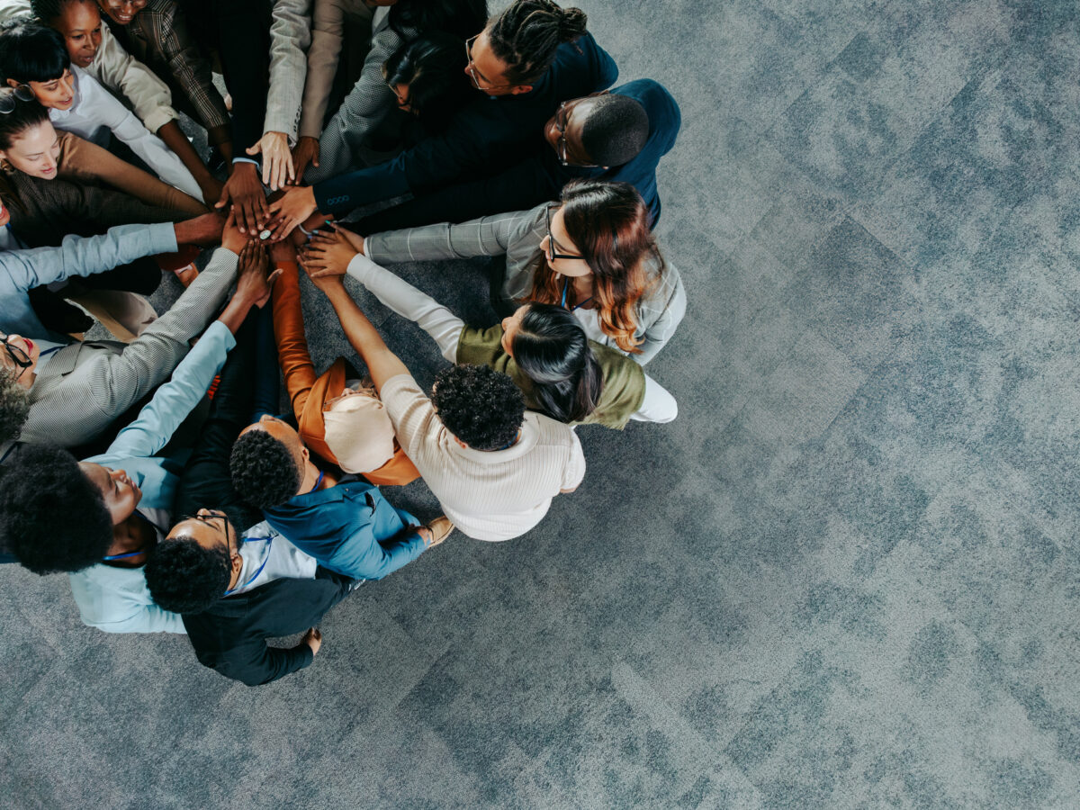 How equity initiatives have been diluted across government and corporate systems